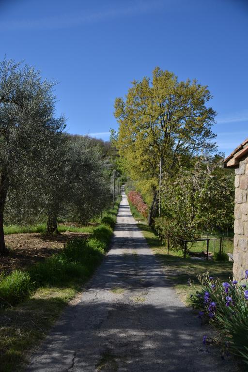 Giardino Di Potentino Seggiano Exterior foto